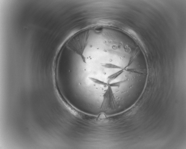 X0000069361235200605150908