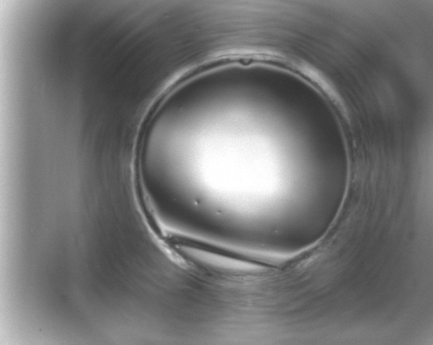 X0000069361237200605150908