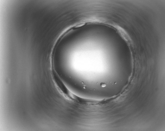 X0000069361238200605150908