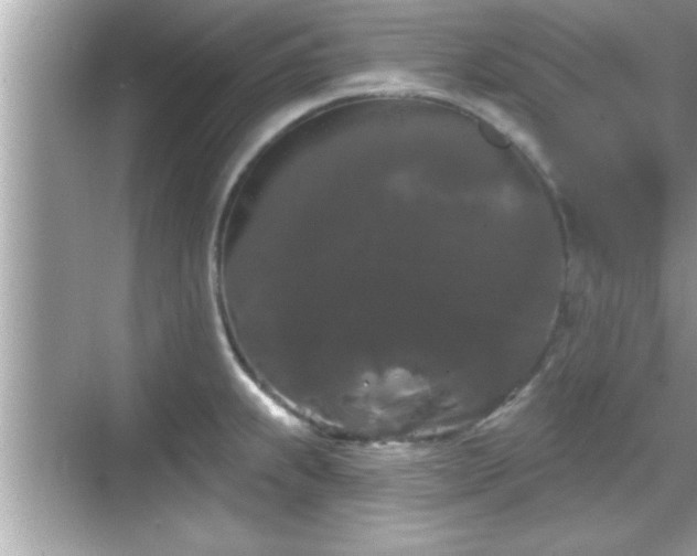 X0000069361239200605150908