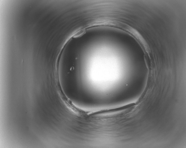 X0000069361242200605150908