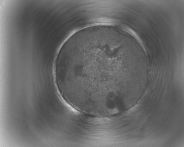 X0000069361243200605150908