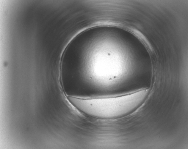 X0000069361244200605150908