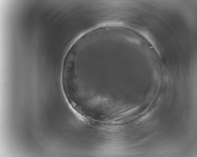 X0000069361245200605150908