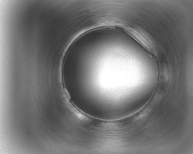 X0000069361246200605150908