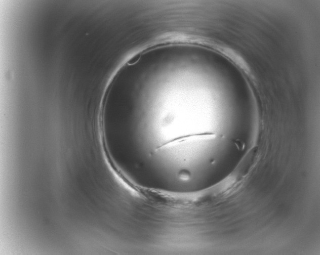 X0000069361247200605150908