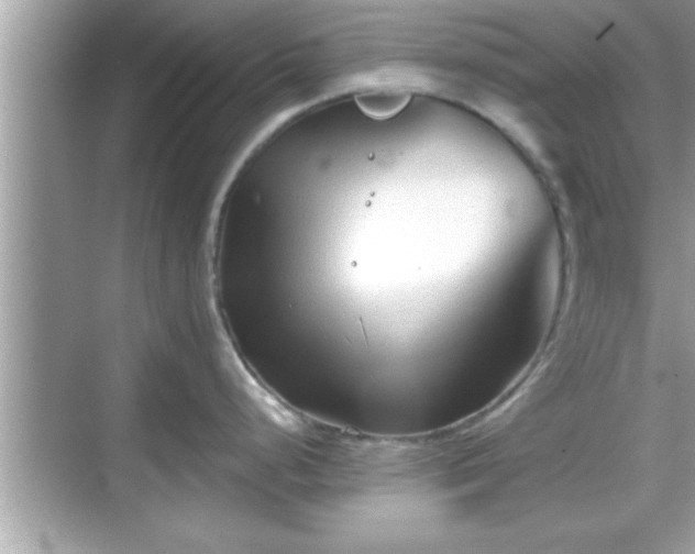 X0000069361248200605150908