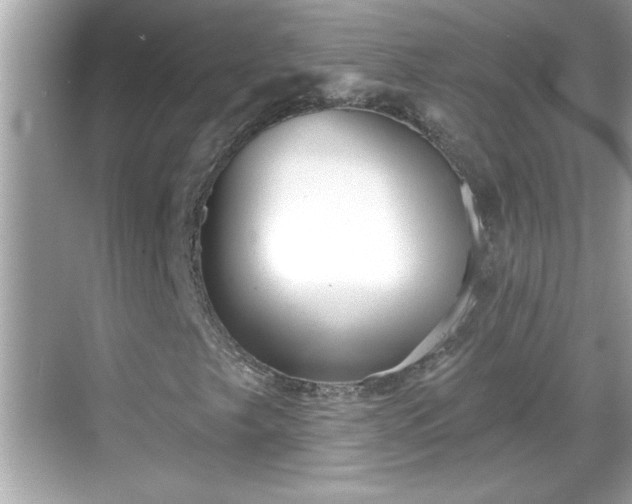 X0000069361249200605150907