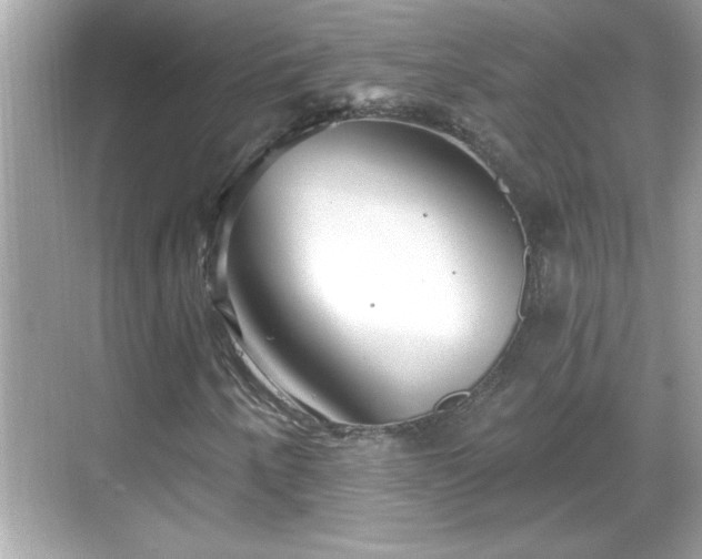 X0000069361250200605150907