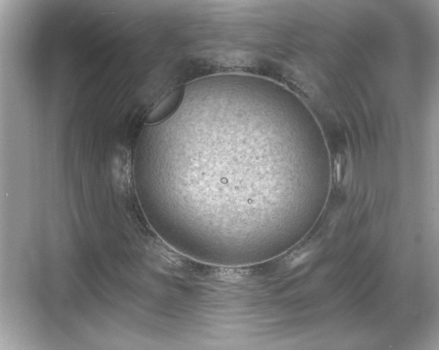 X0000069361251200605150907