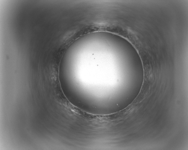 X0000069361253200605150907