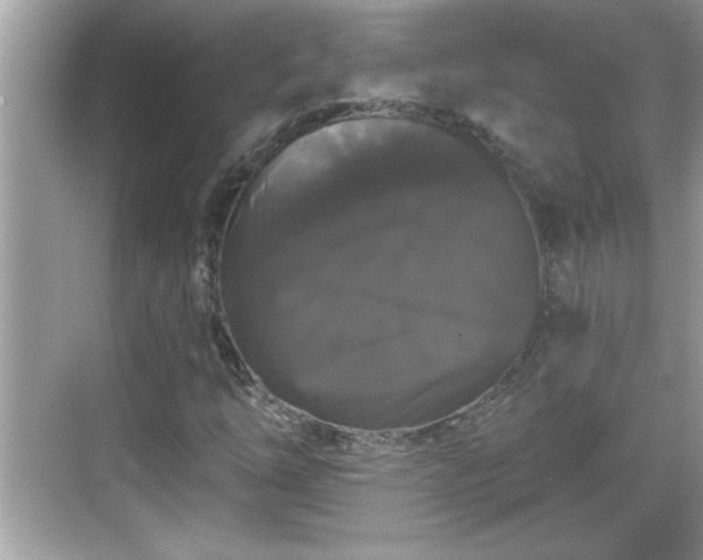 X0000069361254200605150907