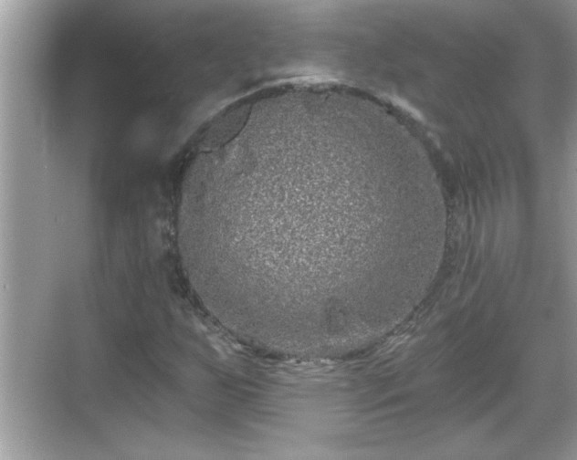 X0000069361255200605150907