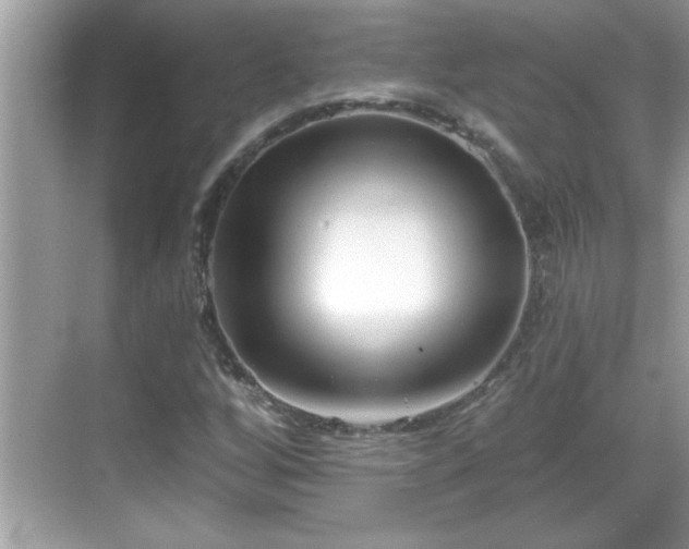 X0000069361256200605150907