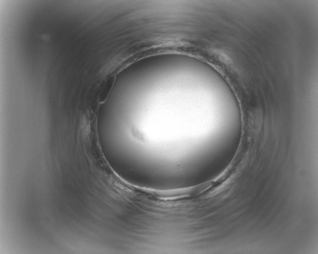 X0000069361257200605150907