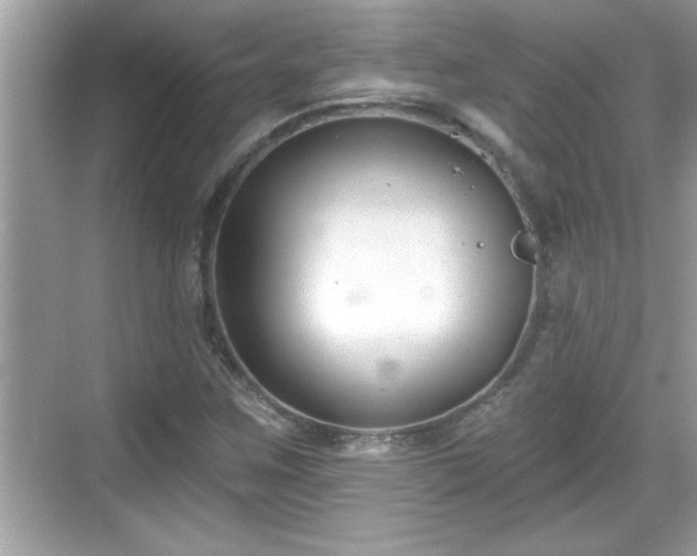 X0000069361259200605150907