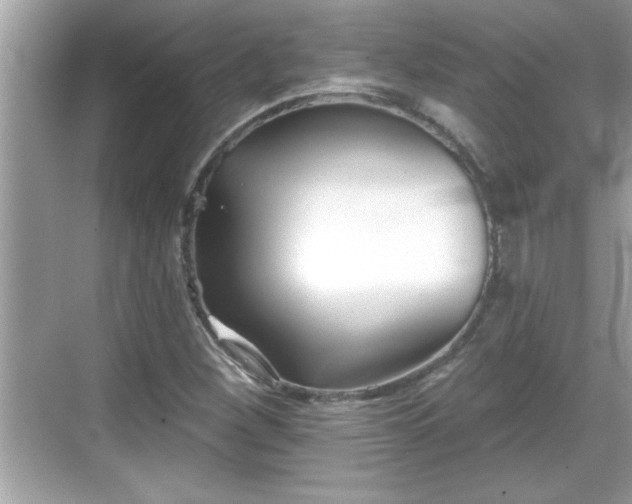 X0000069361260200605150907