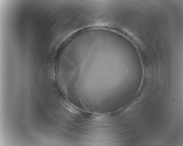 X0000069361262200605150907