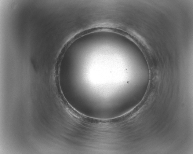 X0000069361264200605150907