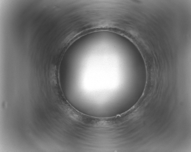 X0000069361265200605150907