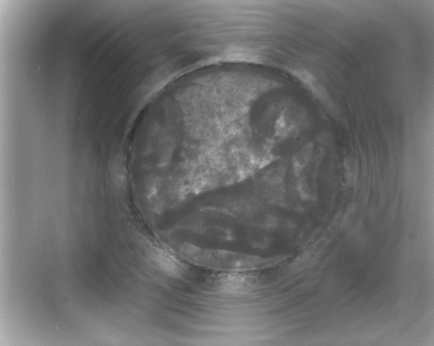 X0000069361266200605150907