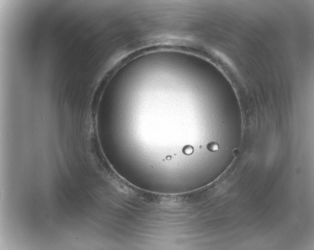 X0000069361267200605150907