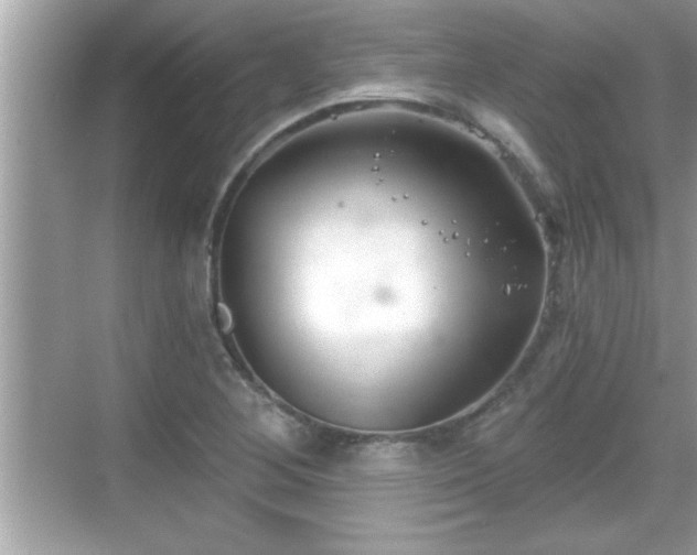 X0000069361268200605150907