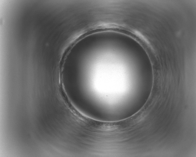 X0000069361269200605150907