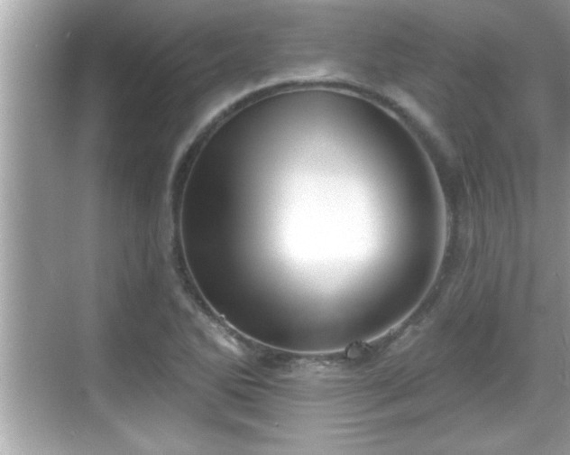 X0000069361270200605150907