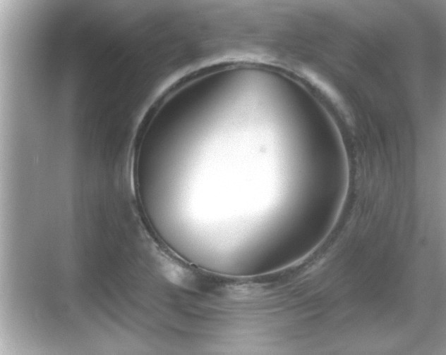 X0000069361272200605150907