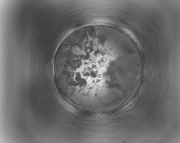 X0000069361275200605150907