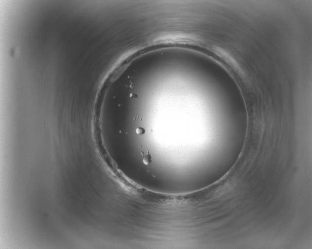 X0000069361277200605150907