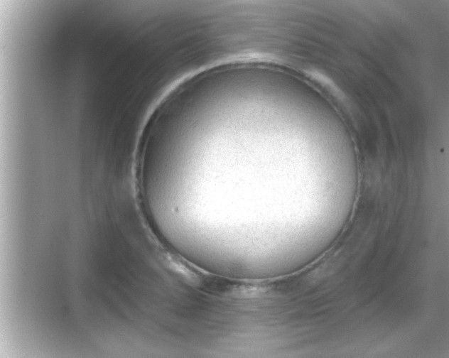 X0000069361278200605150907