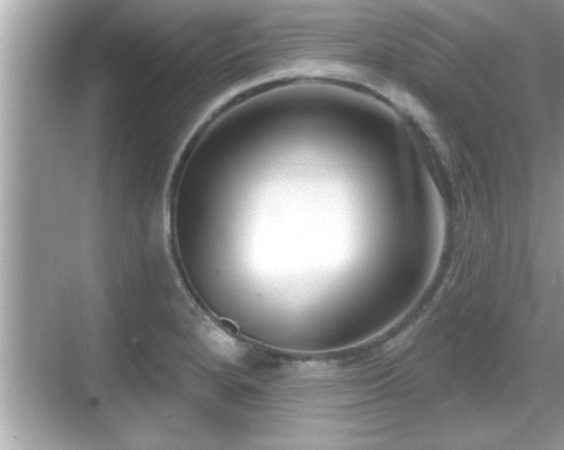 X0000069361280200605150907