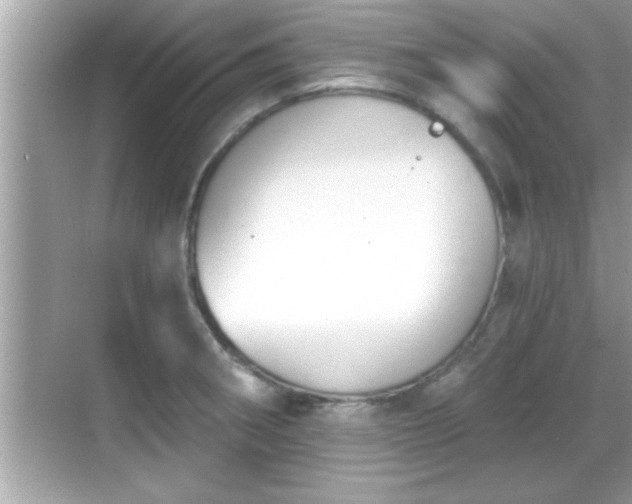 X0000069361282200605150907