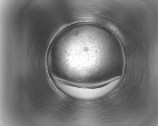 X0000069361283200605150907