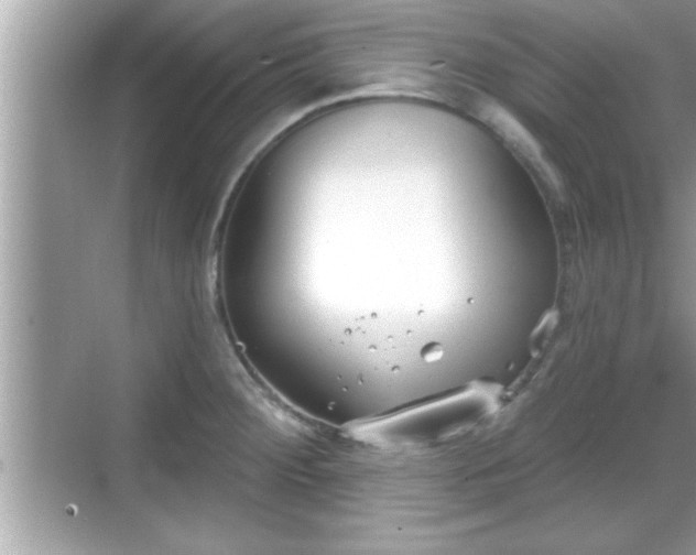 X0000069361284200605150907