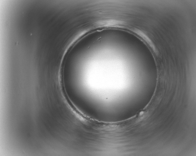 X0000069361285200605150907