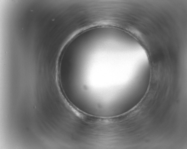 X0000069361286200605150907