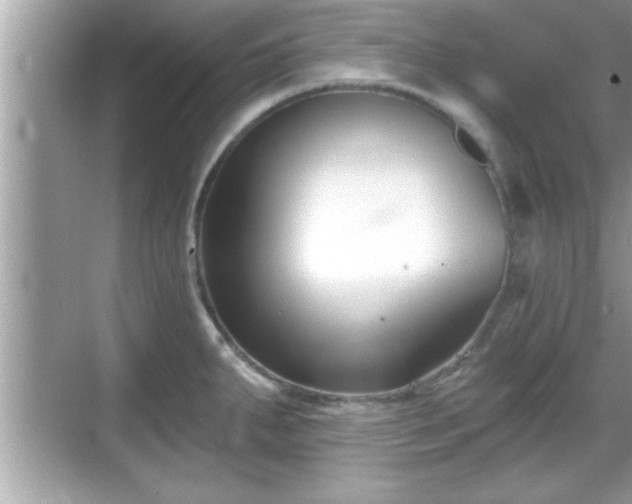 X0000069361287200605150907