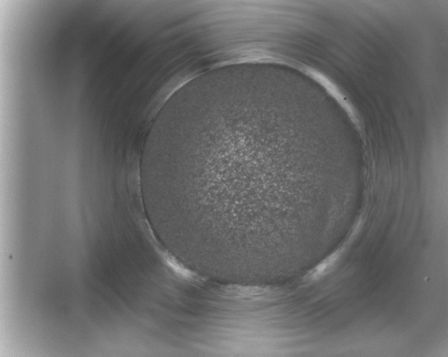 X0000069361289200605150907