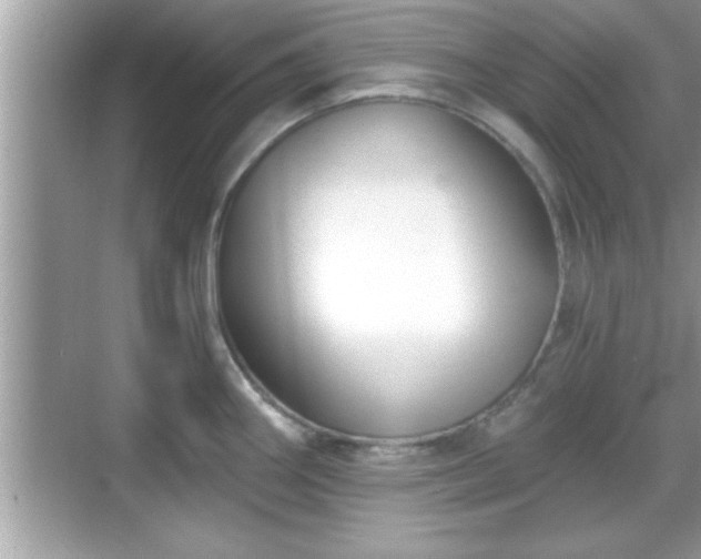 X0000069361290200605150907