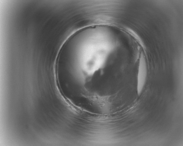 X0000069361291200605150907