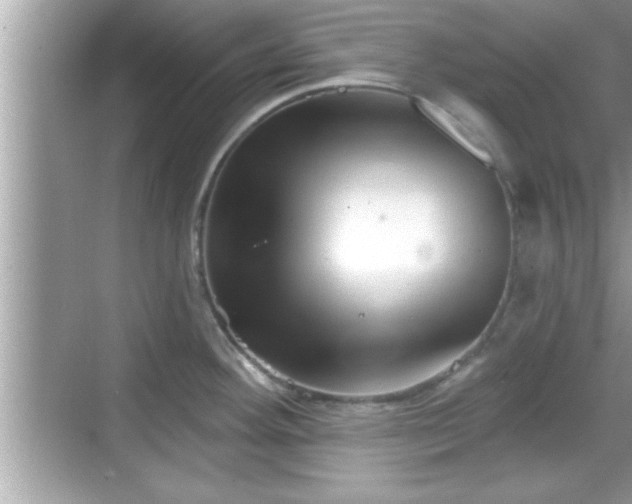 X0000069361292200605150907