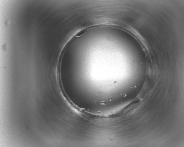 X0000069361293200605150907