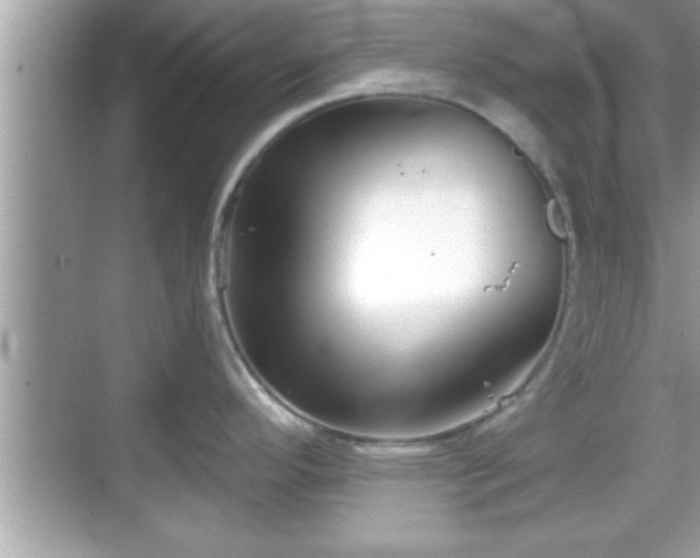 X0000069361296200605150907