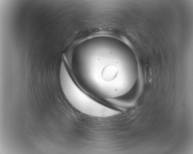 X0000069361298200605150906