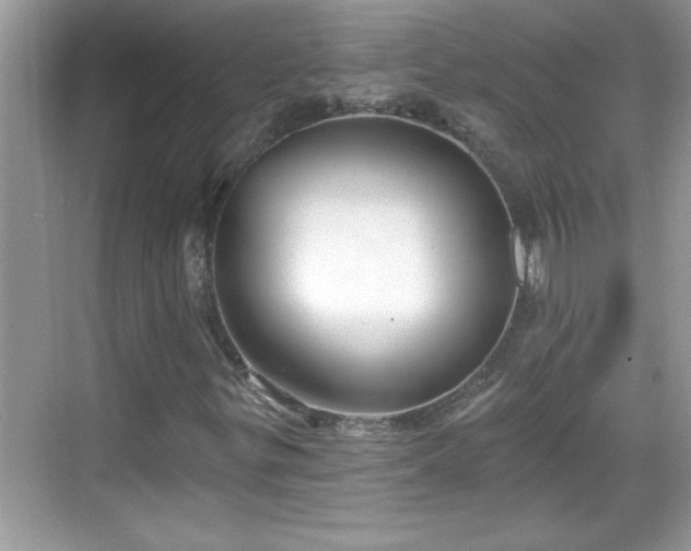 X0000069361299200605150906