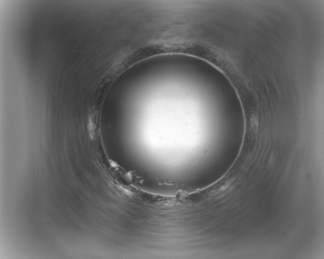 X0000069361300200605150906