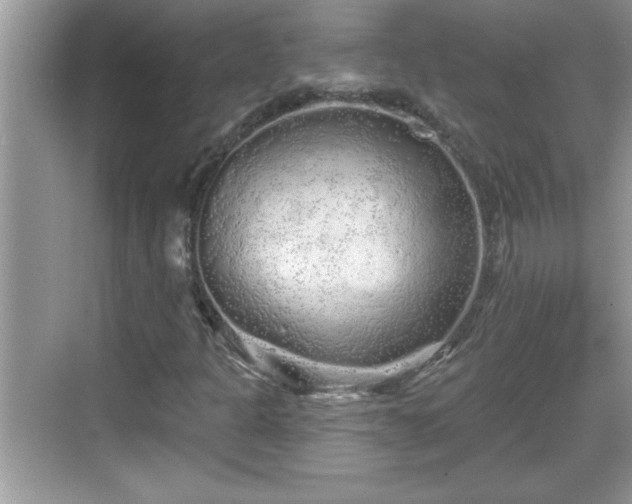 X0000069361301200605150906